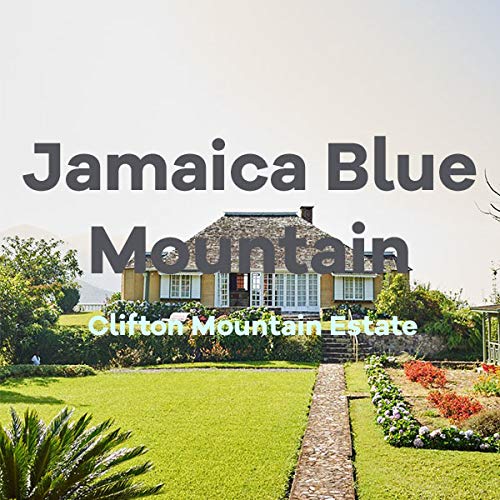 Miniatura 3 de Jamaica Blue Mountain Coffee, Clifton Mount Estate, 100% certificado, grano entero, bolsa de terciopelo azul, tostado fresco, 16 onzas