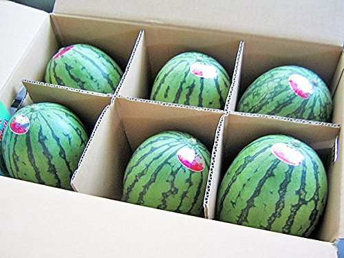 kCY}_[{[(Gj1.6kg×6 yԁzV{`8{ yo׌:kClGH[z