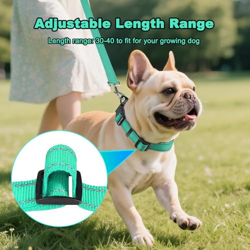 Collar Reflectante para Perros Pequeños Azul Celeste miniatura 4