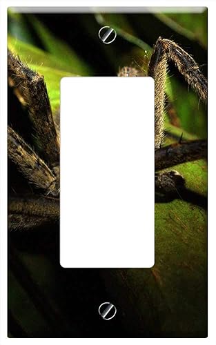 Switch Plate Single Rocker/GFCI - Insects Nature Area Kettle Quindio 1