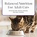 Blue Buffalo Basics Grain-Free, Turkey, Adult Wet Cat Food, 5.5 oz., Count of 24