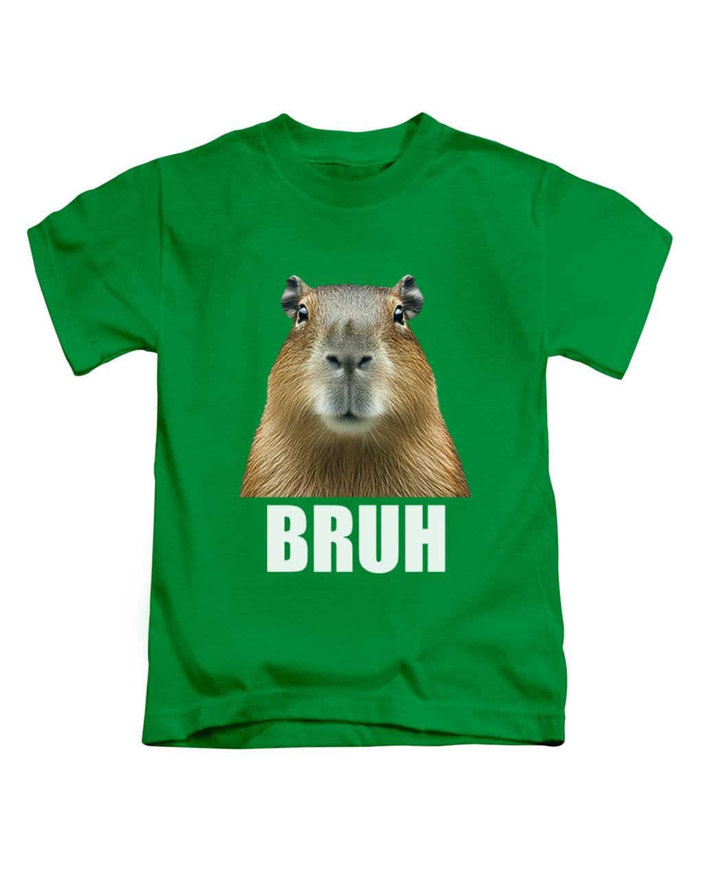 Bruh, Capybara, Meme Novelty Silly Weird Animal capybaras Tee T-Shirt Funny Unisex T Shirt Top Irish Green