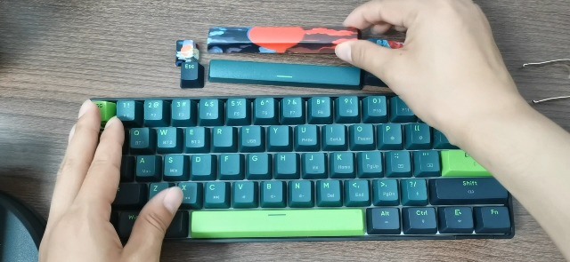 5117sMxYKYL.jpg