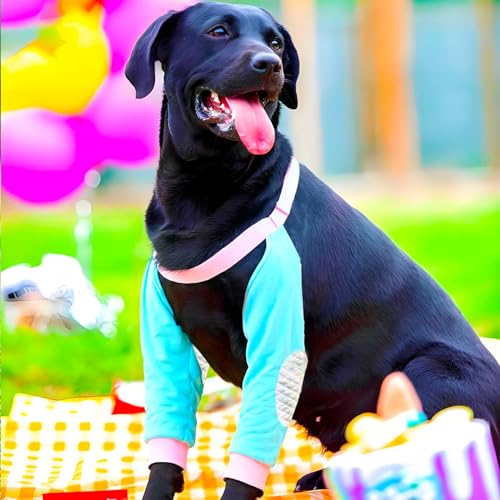 Image of Dog Elbow Pads Knee Protector Wraps Elbow Callus Treatment Sleeve for Wounds Front Legs Stop Licking Medium Large Dogs 2XL, Blue