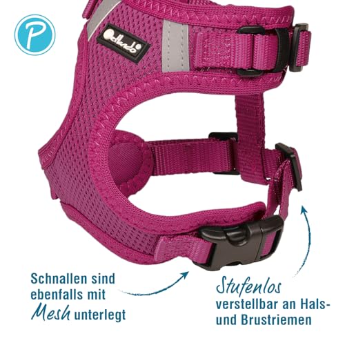 Petlando Hundegeschirr Mesh Vest, leichtes Brustgeschirr aus weichem Mesh & Nylon, stufenlos verstellbar, reflektierend mit 2 D-Ringen, Fuchsia M, Welpengeschirr mitwachsend
