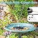 AMZtime Solar Fountain, 2025 Upgraded Solar Water Fountains with 6 Nozzles, Free Standing Floating Solar Powered Water Fountain Pump for Bird Bath, Garden, Pool, Pond and Outdoor