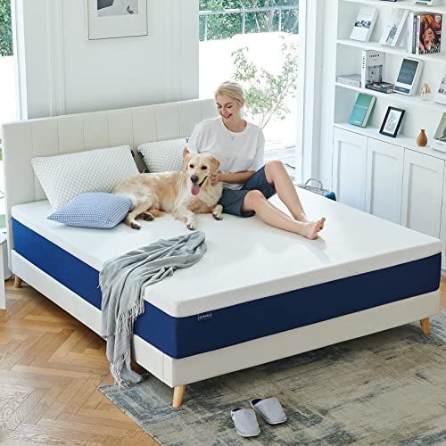 Molblly-Matelas-140x190-25CM-25-cm-depaisseur-Mousse-a-Memoire-de-Forme-Haute-DensiteTissu-de-Surface-SoupleParfait-Soutien-Haute-Resilience-Ultra-Respirante140-190-25CM
