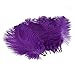 10pcs Home Decor Purple Ostrich Feathers Purple