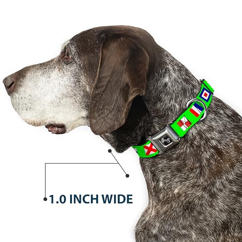 Collier de chien Buckle Down vert style nautique pour balades en mer - 7