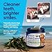 NuLife Natural Pet Health Dog Teeth Cleaning Powder, Dog Plaque and Tartar Remover, Bad Breath Treatment for Dogs with USDA Organic Sea Kelp Powder, Dog Dental Care Made Easy, for All Ages, 12 oz