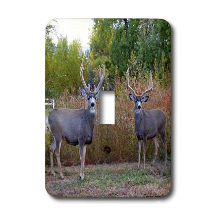 Interrupteur à bascule double Delight 3dRose Lsp_13740_1 pour double commande - 3