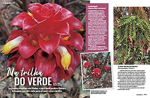 Revista Natureza 400