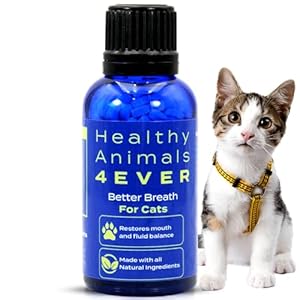 HealthyAnimals4Ever Bad Breath for Cats Pellets – Dissolvable – No Brushing – for Clean Teeth, Plaque & Tartar Control – All-Natural, Non-GMO, Organic – Preservative & Chemical Free – 300 ct