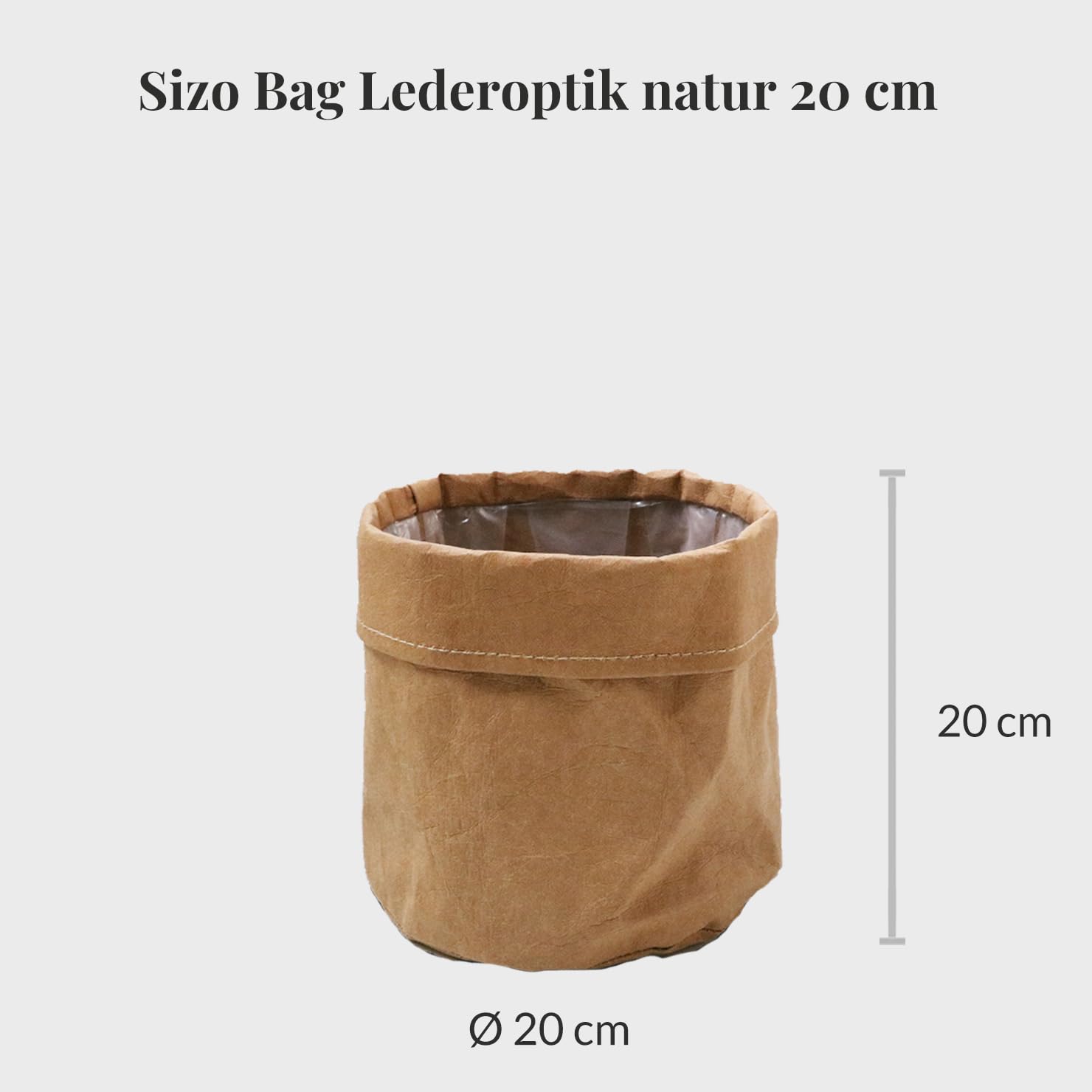 Glückskastanie Pachira aquatica - mehrere Stämme - große Zimmerpflanze 50-60 cm - Topf Ø16-17 cm - inkl. Sizo Bag Lederoptik 20cm - pflegeleicht - 1x pro Woche gießen - heller Standort