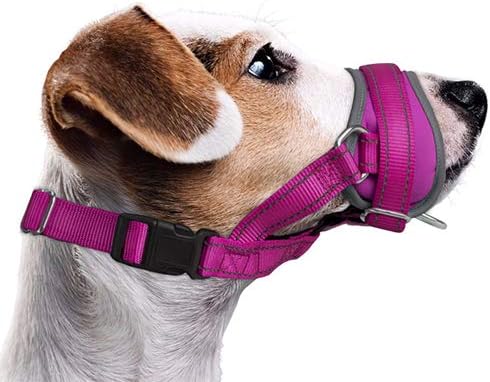 AUTOWT Dog Muzzle, Update Nylon Dog Mouth Cover Prevent from Biting Barking Chewing Behavior Training More Comfortable Adjustable Soft Reflective Quick Fit for Medium Large Dogs (L, Fushcia)