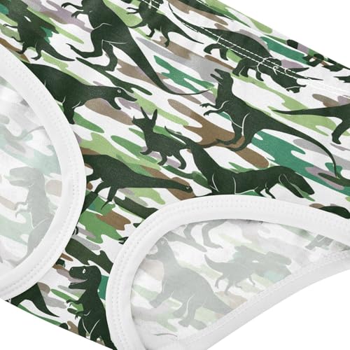 Dinosaurs Camouflage Toddler Girls's Underwear 2T 202c18974