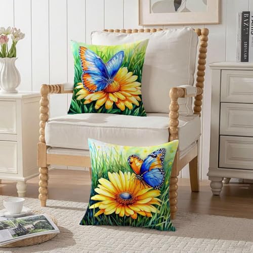 Taie oreiller 70x70cm et housse coussin velours imperméable carré