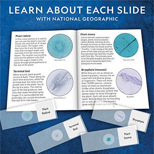 National Geographic Mega Biology Set - Professional Grade Specimens, 25 Prepared Microscope Slides, Detailed Learning Guide And Storage Box #TOP3