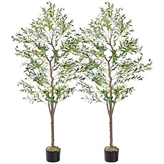 Olive Green-2pcs(5ft)