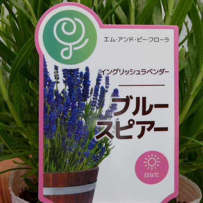 ラベンダー様オーダー なっぴ様⭐︎ラベンダーオーダーページ アキハピショッピング