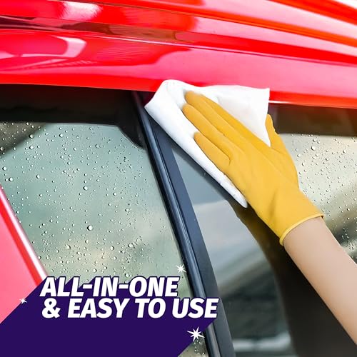 Windex Auto Wipes for Car Windows