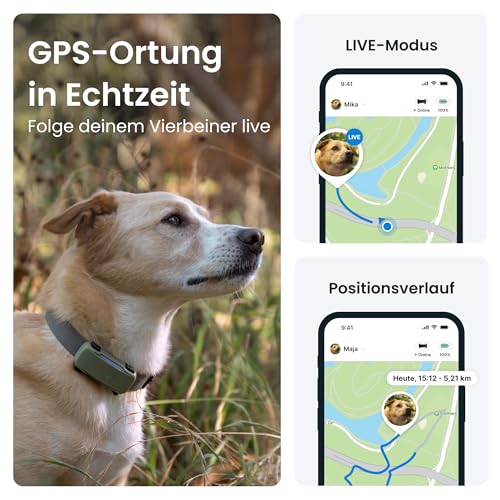 Tractive Smarter Hunde GPS Tracker | Bundle mit Cover | Modell 2025 | Live-GPS-Ortung | Weglaufalarm & Gesundheitswarnungen | Beobachtung der Vitalwerte | Marktführer (Schwarz) – Produktbild 2