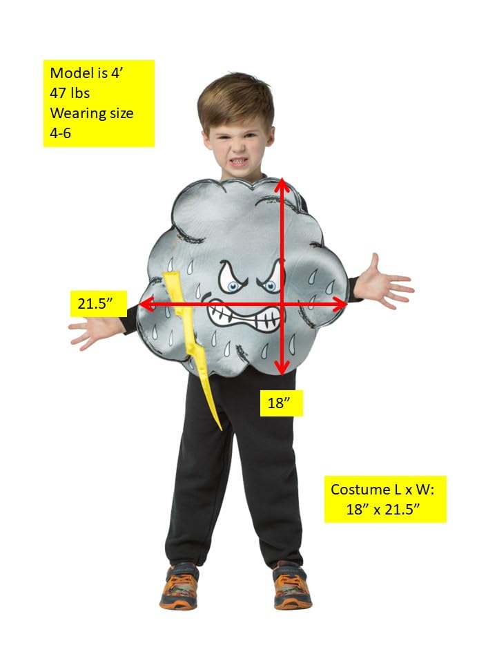 Disfraz Nube de Tormenta Infantil Talla 4-6 miniatura 3