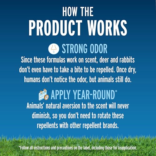 Image of Liquid Fence Deer and Rabbit Repellent Concentrate, 1 Gallon | Use to Treat on Gardens, Flowers, Shrubs, Trees & Vines, Covers up to 20,000 Sq. Ft., Harmless to Plants & Animals