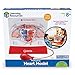Learning Resources Pumping Heart Model - 1 Piece, Grades 3+ | Ages 8+ Educational Science Kit, Science Education Supplies, Science Teaching Supplies