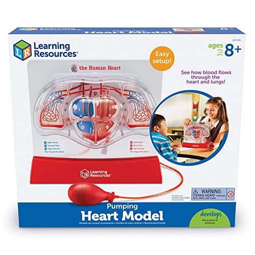 Image of Learning Resources Pumping Heart Model - Science Classroom Must Haves, STEM Student Essentials, Practice Anatomy, Cardiology Artery and Veins Study Tools, Back to School Supplies for Teachers