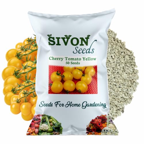 Image of SIVON Cherry Tomato Yellow (Cherry Tomatar) (50 Seeds) Exotic Vegetable Seeds for Home Garden, Organic & Hybrid, Perfect for Home Gardening, Planting For Pots and Patio