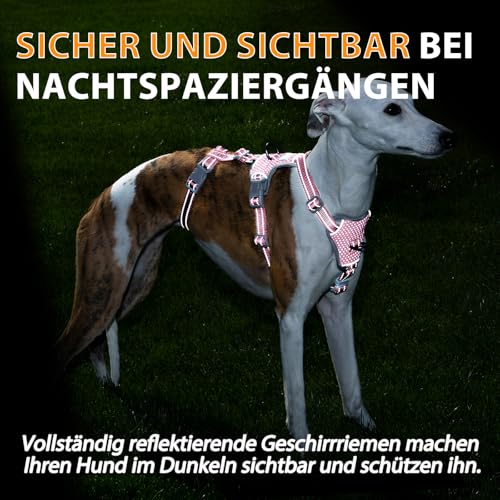 Huntboo Sicherheitsgeschirr Hund Ausbruchsicher, Panikgeschirr für Hunde, Anti Zug Hundegeschirr, Reflektierend, Verstellbare, Leichte Weste für kleine, mittelgroße und große Haustiere (Rosa,M)
