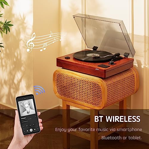 HOFEINZ Bluetoothスピーカー　蓄音機型　レコードプレーヤー HOFEINZ Bluetoothスピーカー 蓄音機型 レコードプレーヤー Amazon.co