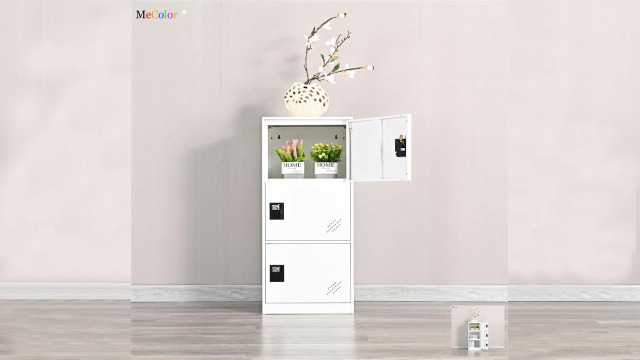 Amazon.com: MECOLOR Small Vertical Locker Steel Cabinet, Lockable