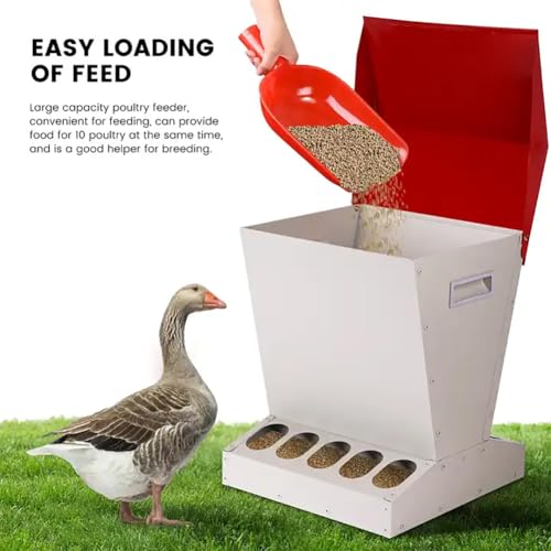 Comedero automático para pollos, metal resistente a la intemperie para exteriores, capacidad de 25 libras, tapa incluida, diseño a prueba de derrames para alimentar pollos, patos, gansos, pavos y