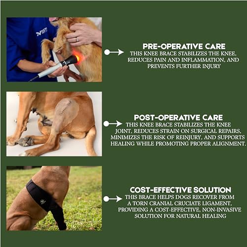 Image of Adjustable Dog Knee Brace for Torn ACL and Luxating Patella - Support for Back Leg, Hip Dysplasia, and Post-Surgery Recovery. Optimal Comfort and Stability for Your Beloved Pet