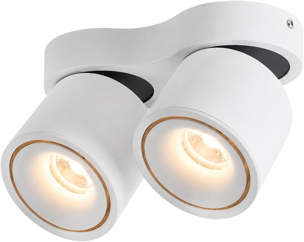 White Double Head Ceiling Spotlight, Aluminum Mount Fixture | Dual Adjustable LED Heads, 28° Focused , 350° Rotation, 90° Tilt, CRI 98, Indoor Accent Lighting(3000K,12W)