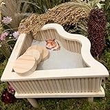 Bonnevie Wooden Sand Bath Container with Ladder and Stilts for Hamster Large Substrate Container Dust Bath Box Digging Sand Container Hamster Bathtub Toilet for Gerbil Dwarf Syrian Hamster Rat Chinchi