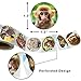 Animal Stickers for Kids Realistic Jungle Animal Sticker Safari Zoo Labels for Toddlers Party Favors Birthday Gift Decor Supplies 200Pcs Per Roll