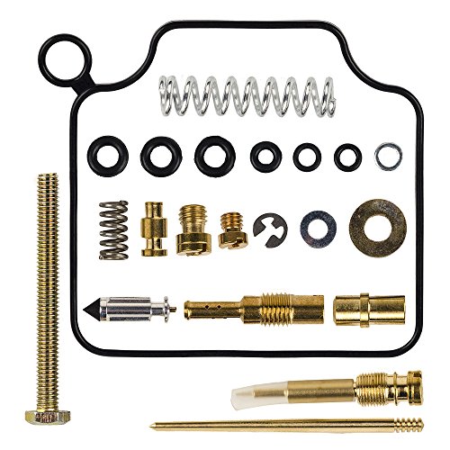 HIFROM Carburetor Rebuild Kit Carb Repair for Honda TRX450ES 450 ES Foreman 1998-2003 (1998 1999 2000 2001 2002 2003)