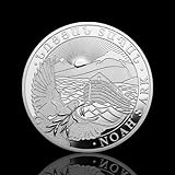 poe silver coin vendor Gewicht: 15,55 g Silbermünze Neu Arche Noah 2022 in Münzhüllen, 1/2 Unze, Differenzbesteuert nach § 25a UstG