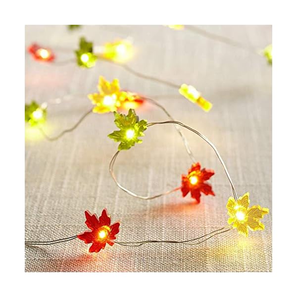 Fall fairy lights cute string lights with thanksgiving decor fall garland with lights battery operated for fall lights indoor decoration maple fairy  urban country home decor