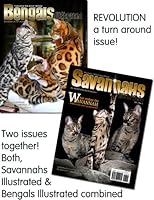 REVOLUTION - turn around issue Savannahs & Bengals Illustrated - Bengal cats and Savannah cats 193652225X Book Cover