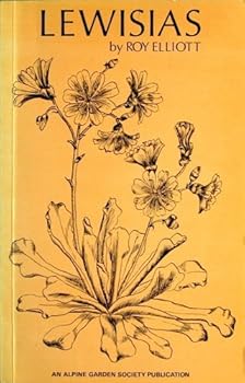 Lewisias