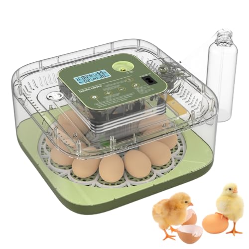 Incubateur d'œufs de poule et volaille avec contrôle de température automatique