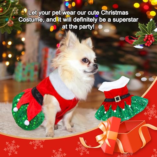 Disfraz Navidad para Perro Pequeño vestido Rojo Santa Claus miniatura 3