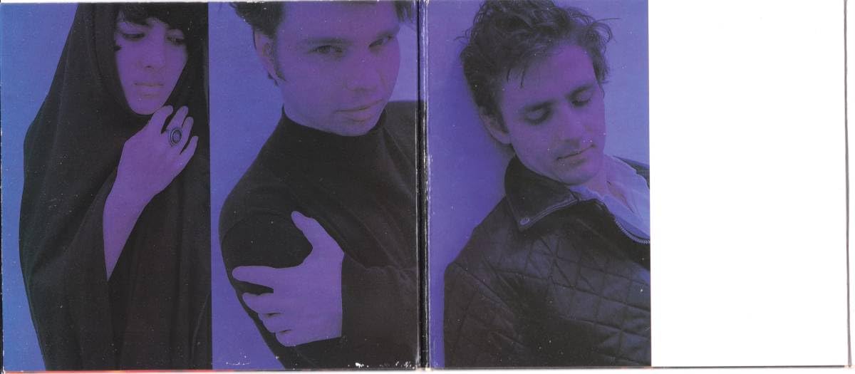 Amazon.co.jp: ☆GALAXIE 500(ギャラクシー500)/This Is Our