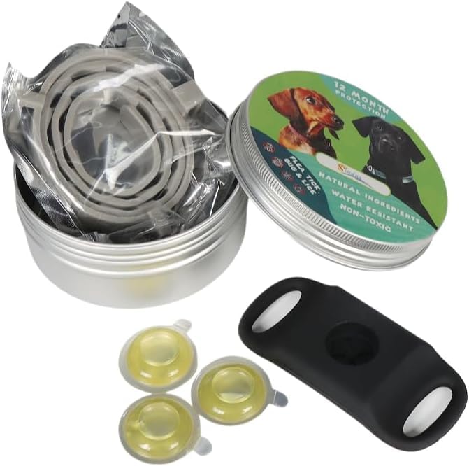 Pendentif Everly - 12 Mois De Protection(Green)