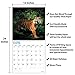2020 Tigers Wall Calendar by Bright Day, 16 Month 12 x 12 Inch, Wild Animal Safari for a Cause