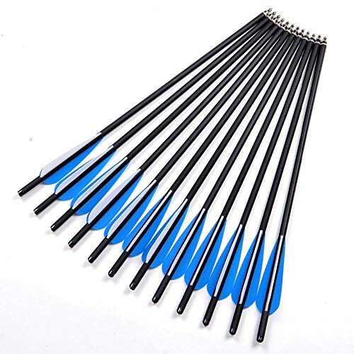 Jocoo 20" Carbon Crossbow Bolts Hunting Archery 20 Inch Arrows With 4" Vanes And Replaced Arrowhead/Tip (12 Pack) #TOP6
